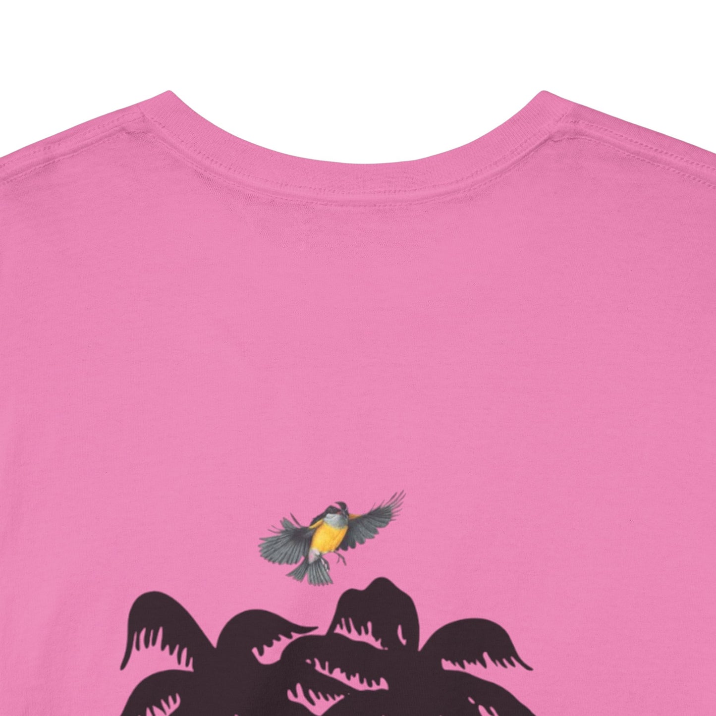 Island Vibes